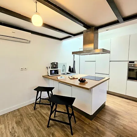 Apartment L'artiste-coeur De Ville-clim